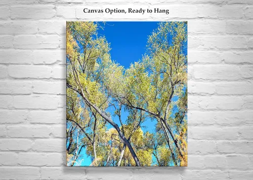 Miniatura 2 de San Pedro River Arizona Cottonwood Tree Autumn Forest Nature Print