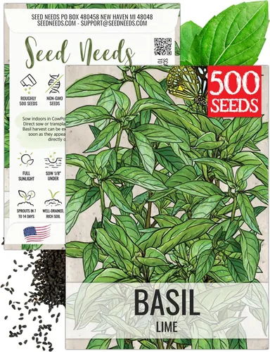Miniatura 20 de Seed Needs Semillas de albahaca para plantar hierbas de albahaca tailandesa, sin OMG y semillas de hierbas sin tratar para cultivar un jardín