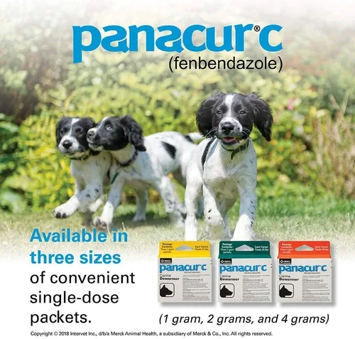 Miniatura 3 de Perros 0.14 oz cada paquete trata 40 libras (3 paquetes) (5 paquetes)