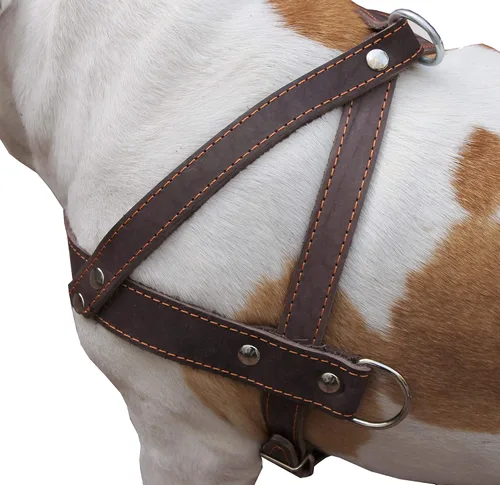 Miniatura 3 de Perro Arnés Pulling Walking de piel color café grande. 31"-35" Pecho, 1.5" tirantes anchos