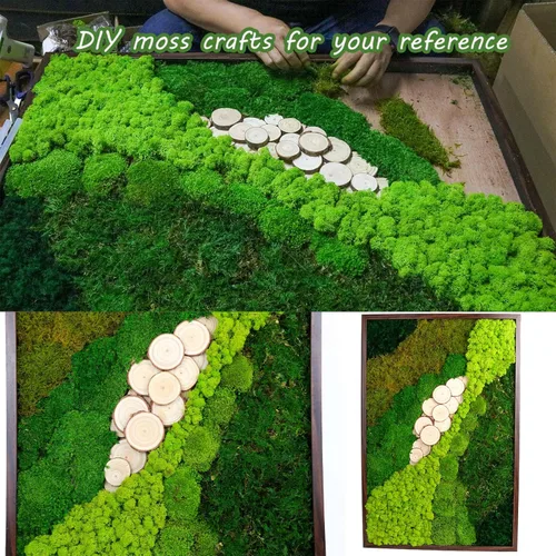 Miniatura 5 de Musgo decorativo de musgo preservado de 1.5 pies cuadrados para manualidades, arte, decoración de pared, verde oscuro