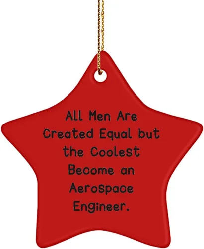 Joke Aerospace Engineer Gifts, All Men are Created Equal, Aerospace Engineer Star Ornament from Coworkers, Gifts for Coworkers, Aerospace