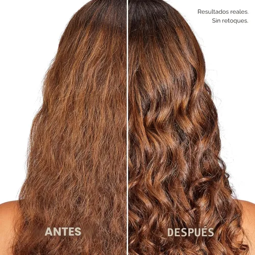 Miniatura 4 de L'Oreal Paris Set de Champú y Acondicionador Hidratante Libre de Sulfatos, Cuidado Capilar para Cabello Teñido con Botánicos de Romero, EverPure, 1