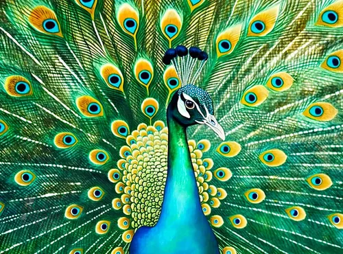 Cross & Glory - Pavo real esmeralda - Rompecabezas de 1000 piezas para adultos | Obras de arte coloridas de animales | 20 x 27 pulgadas | Acabado