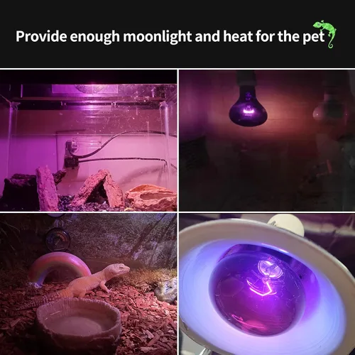 Miniatura 6 de Lámpara de calor nocturno de 75 W, bombilla infrarroja, bombilla de luz de luna, lámpara de calor de reptil, lámpara de punto UVA para reptiles