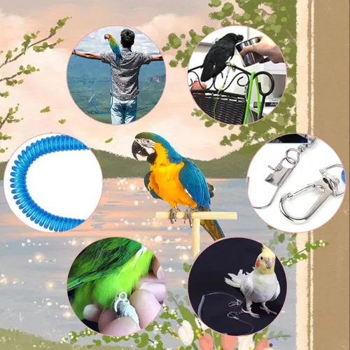 Miniatura 4 de Correa de pájaro, arnés de loro antimordeduras, cuerda retráctil para pájaros voladores con 3 piezas de diferentes tamaños de anillos para pies