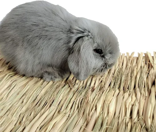 Miniatura 3 de Tapete de césped tejido para cama de animales pequeños, ropa de cama de conejos, juguete masticable, juguete para jugar en la cama, juguete