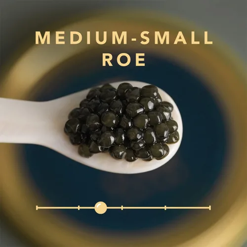 Miniatura 2 de Caviar de esturión siberiano de esturión esturiano - 17.6 onzas / 17.64 oz - Huevas negras de esturión ruso - GARANTIZADO POR LA NOCHE