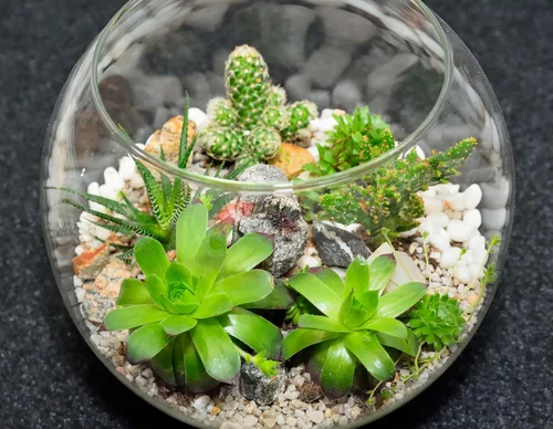Miniatura 7 de Sawysine Jarrón de burbujas de 12 piezas de 6 pulgadas de ancho x 5 pulgadas de alto, jarrón redondo de vidrio transparente a granel para bodas