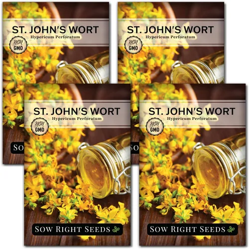 Miniatura 9 de Sow Right Seeds - Semillas de hierba de San Juan para plantar - Herencia sin OMG - Hierba medicinal fácil de cultivar - Ideal para jardines