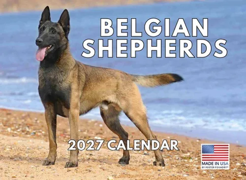 Miniatura 198 de Calendario de pared mensual 2025 Great Dane de 12 meses, fabricado en Estados Unidos