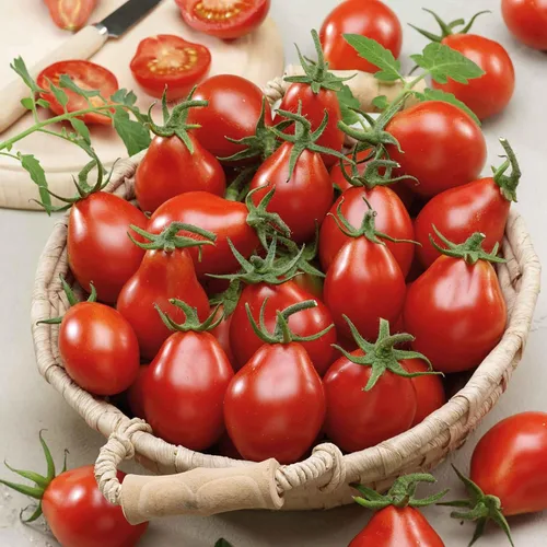Miniatura 22 de Eden Brothers Semillas de tomate – Semillas de carne sin OMG para plantar, paquete Semillas de vegetales de bajo mantenimiento, plantas durante