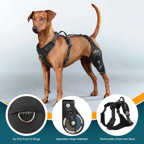Miniatura 5 de Rodillera para perro para pierna trasera desgarrada ACL con estabilizador de bisagra ajustable, soporte de espalda de perro para osteoartritis