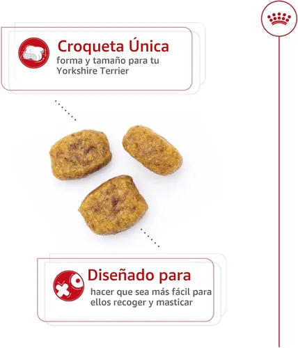 Miniatura 3 de Royal Canin Breed Health Nutrition Yorkshire Terrier - Alimento seco para perros adultos, bolsa de 2.5 libras