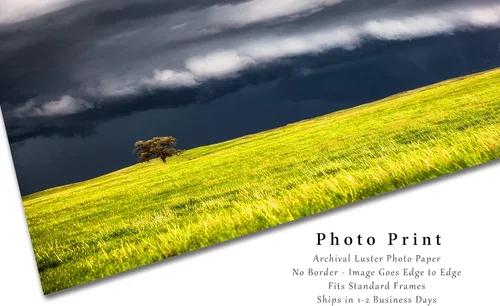 Miniatura 2 de Storm Photography Print (Not Framed) Picture of Thunderstorm Passing Behind Lone Tree on Nebraska Prairie Great Plains Wall Art Nature Weather Decor