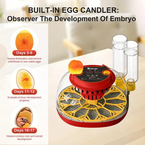 Miniatura 4 de Incubadoras para incubar huevos: kit de incubadora de huevos de pollo, codorniz, pato, pájaro, pollito con girador automático de huevos y pantalla