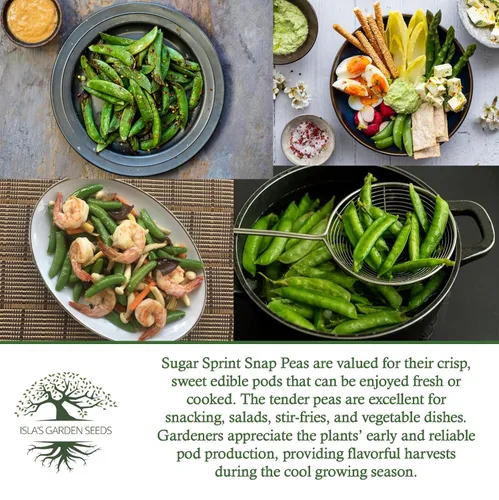Miniatura 6 de Sugar Sprint Snap Pea Seeds (Pisum sativum) – Más de 25 semillas tradicionales sin OMG de Isla's Garden Seeds, cápsulas comestibles crujientes