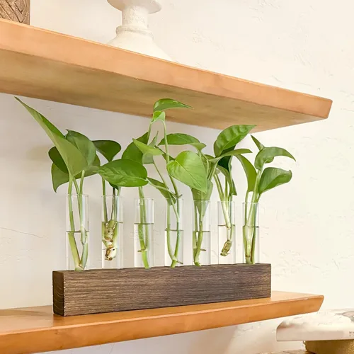 Miniatura 7 de KAXYEW Estación de Propagación de Plantas de Escritorio de Vidrio con Tubo de Ensayo, Terrario de Plantas en Soporte de Madera para Plantas Marrón