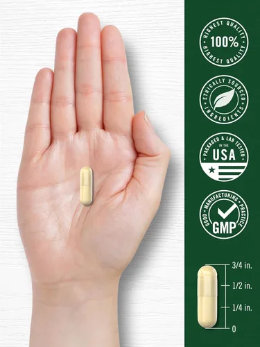 Miniatura 7 de Carlyle Cápsulas de hongos de cola de pavo 1200 mg 200 unidades Extracto sin OMG y sin gluten