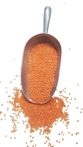 Miniatura 5 de Lentejas orgánicas rojas divididas, también conocidas como Masoor Dal, bajas calorías ricas en hierro y proteínas, sin OMG, veganas a granel, 10