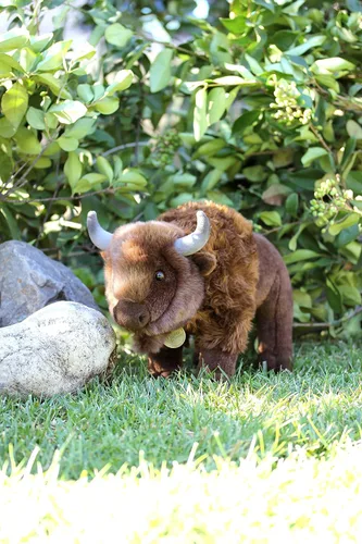 Miniatura 2 de 14" BISON - LARGE