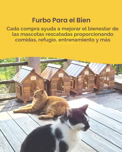 Miniatura 4 de Furbo 360° Cámara para Gatos: Cámara de Seguridad para Mascotas con Alertas de Miauidos, Vista Rotatoria, Lanzamiento de Golosinas con Aplicación