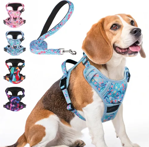 Miniatura 9 de BEAUTYZOO Arnés para perro sin tirones pequeño, juego de arnés y correa ajustable para perro - Fácil de usar con 3 hebillas/mango de control, arnés