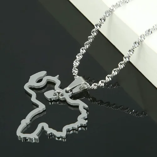 Miniatura 3 de Collar con colgante de mapa de Venezuela de acero inoxidable