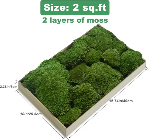 Miniatura 2 de TurelinnG Decoración de musgo preservado, musgo de bosque real, musgo para manualidades, flexible para manualidades, hogar, pared, terrario, Verde