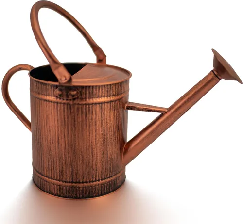 Regadera de 1 galón, regadera de cobre, lata de agua de metal con boquilla extraíble, lata de agua perfecta para plantas en interiores y exteriores