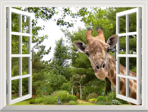 Miniatura 2 de wall26 Calcomanía de pared creativa extraíble – Una jirafa curiosa que pega su cabeza en una ventana abierta, bonito y divertido mural de pared – 24