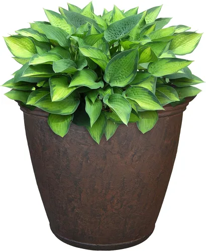 Miniatura 33 de Sunnydaze Anjelica - Maceta grande de plástico de 20 pulgadas para plantas, maceta grande de plástico de doble pared para exteriores con agujeros