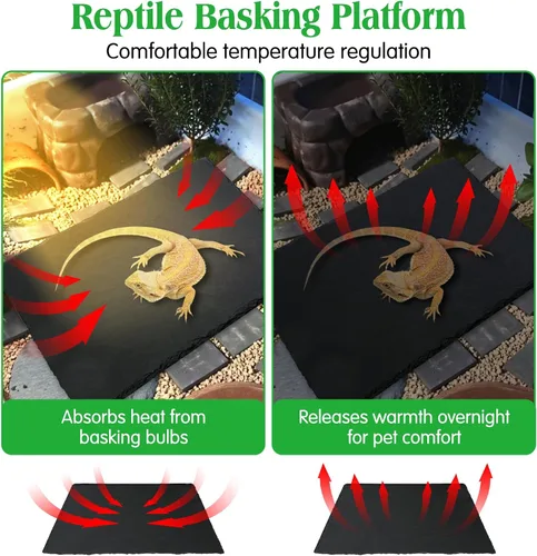 Miniatura 5 de Tfwadmx Plataforma para tomar el sol de reptiles, área de baño de tortuga, área de baño de tortuga, placa de roca original, uñas de molienda