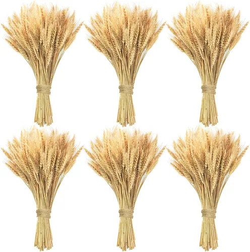 Miniatura 8 de Tallos de trigo seco de 17.7 pulgadas, 100 tallos de flores secas 100% trigo natural para el hogar, cocina, oficina, arreglo floral, mesa de boda