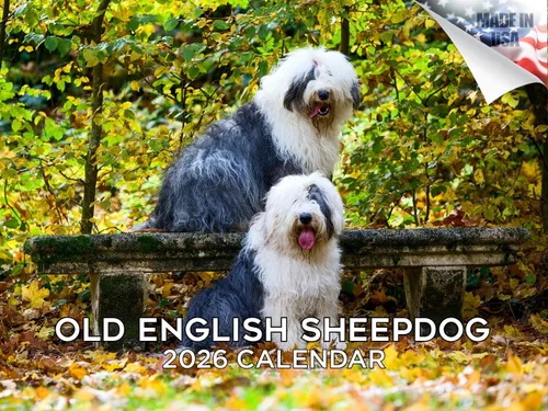 Miniatura 136 de Calendario 2025 2026 de cachorros Cocker Spaniel - Calendario mensual de pared de raza de perro - 12" x 24" abierto - Papel grueso sin sangrado
