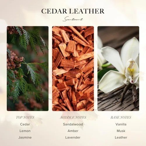 Miniatura 3 de Scentiment Aceite difusor – Colección de otoño de cuero de cedro Aromaterapia para el hogar Lujoso aroma con limón, sándalo jazmín, ámbar