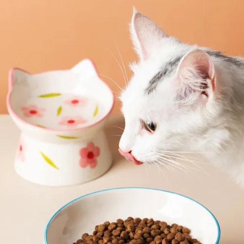 Miniatura 4 de Cuencos elevados de cerámica para gatos, antivómitos y protegen las espinas de las mascotas para gatos de interior, comedero para mascotas para Rosa