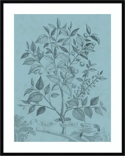 Miniatura 14 de Amanti Art Vision Studio - Póster enmarcado de 24 x 20 pulgadas, diseño botánico en V verde azulado por Vision Studio, arte de pared de naturaleza