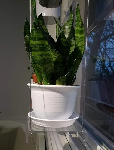 Miniatura 7 de Estantes colgantes de acrílico para ventanas (34 pulgadas de ancho, 2 estantes - 35 pulgadas de alto)