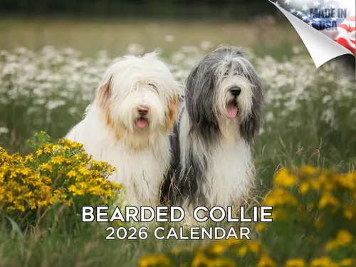 Miniatura 49 de Calendario 2025 2026 de cachorros Cocker Spaniel - Calendario mensual de pared de raza de perro - 12" x 24" abierto - Papel grueso sin sangrado