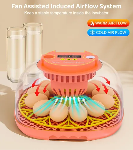 Miniatura 2 de Incubadora de 12 huevos para incubar huevos, control inteligente de temperatura y humedad, giro automático de huevos, incubadora para incubar pollo