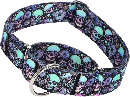 Collar Martingale para Perro de 1.5 Pulgadas de Ancho - Diseño de Calavera Extra Resistente para Perros Grandes, Collar de Entrenamiento Ajustable
