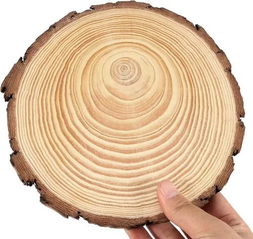 Miniatura 5 de JEUIHAU 6 piezas de rebanadas de madera natural sin terminar de 8 a 10 pulgadas, discos redondos de madera para corteza de árbol, círculos de madera