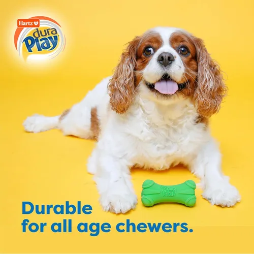 Miniatura 5 de Hartz DuraPlay Hueso Juguete de Látex Chirriante para Perros de Razas Medianas, Paquete de 3