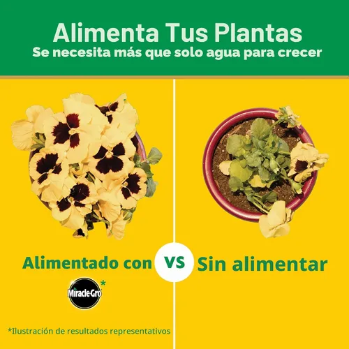 Miniatura 8 de Miracle-Gro Alimento vegetal multiusos soluble en agua, para todas las plantas de interior o exterior, rosas, flores, verduras, plantas