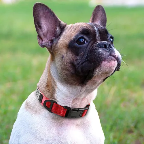 Miniatura 2 de Joytale Collares para perros personalizados, collar de nailon reflectante con placa de nombre grabada, personalizado para perros pequeños, rojo, S