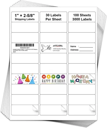3000 Etiquetas 100 Hojas 1" x 2-5/8" Etiquetas Adhesivas de Dirección para Impresora Láser e Inyección de Tinta - 30 Por Página Etiquetas de Envío