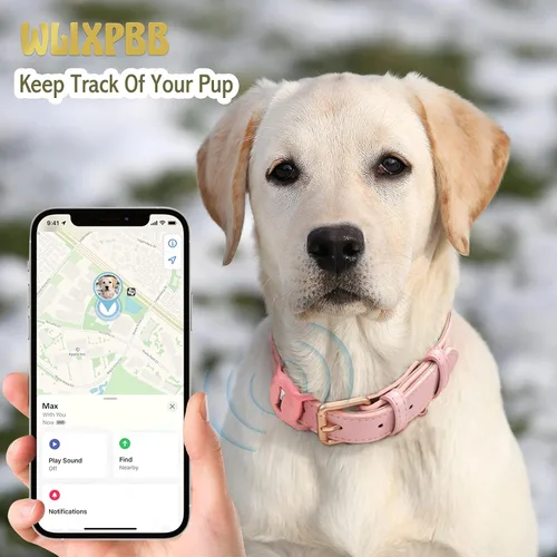 Miniatura 2 de Airtag - Collar de cuero para perro pequeño, mediano y grande, ajustable, suave, acolchado, collar de cachorro, collar de hebilla de metal Rosa