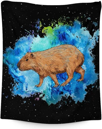 Miniatura 8 de Mantas temáticas de animales para niños, tamaño regazo de 30 x 40 pulgadas, manta de felpa suave y peluda para regalo, mantas negras para cama, sofá