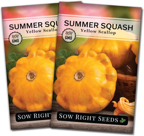 Sow Right Seeds - Semilla de calabaza vieira amarilla para plantar - Paquete de reliquia sin OMG con instrucciones para plantar un huerto casero,